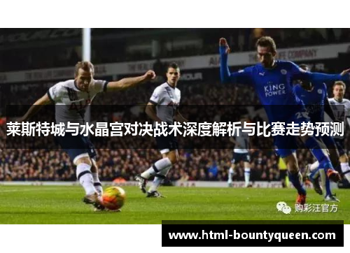 莱斯特城与水晶宫对决战术深度解析与比赛走势预测 莱斯特城与水晶宫对决战术深度解析与比赛走势预测